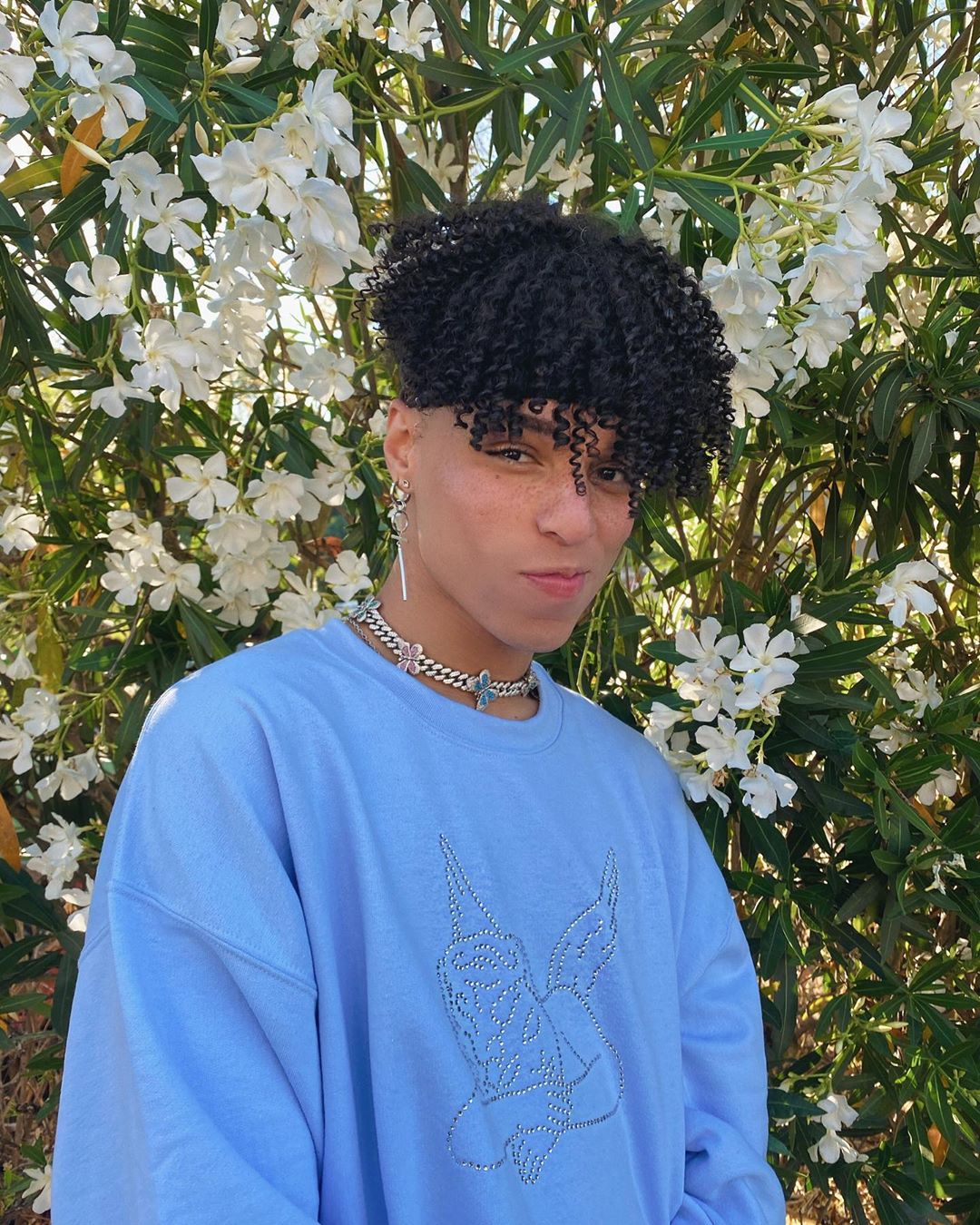 TikTok star Larray on Instagram