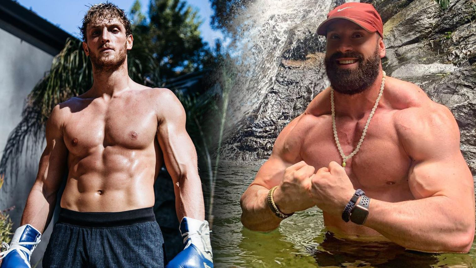 Bradley Martyn Vs Logan Paul