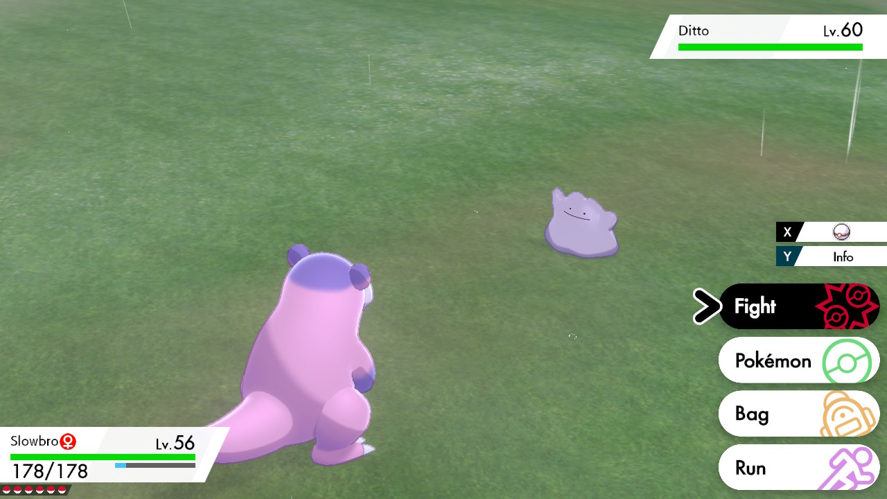 Capturing Ditto