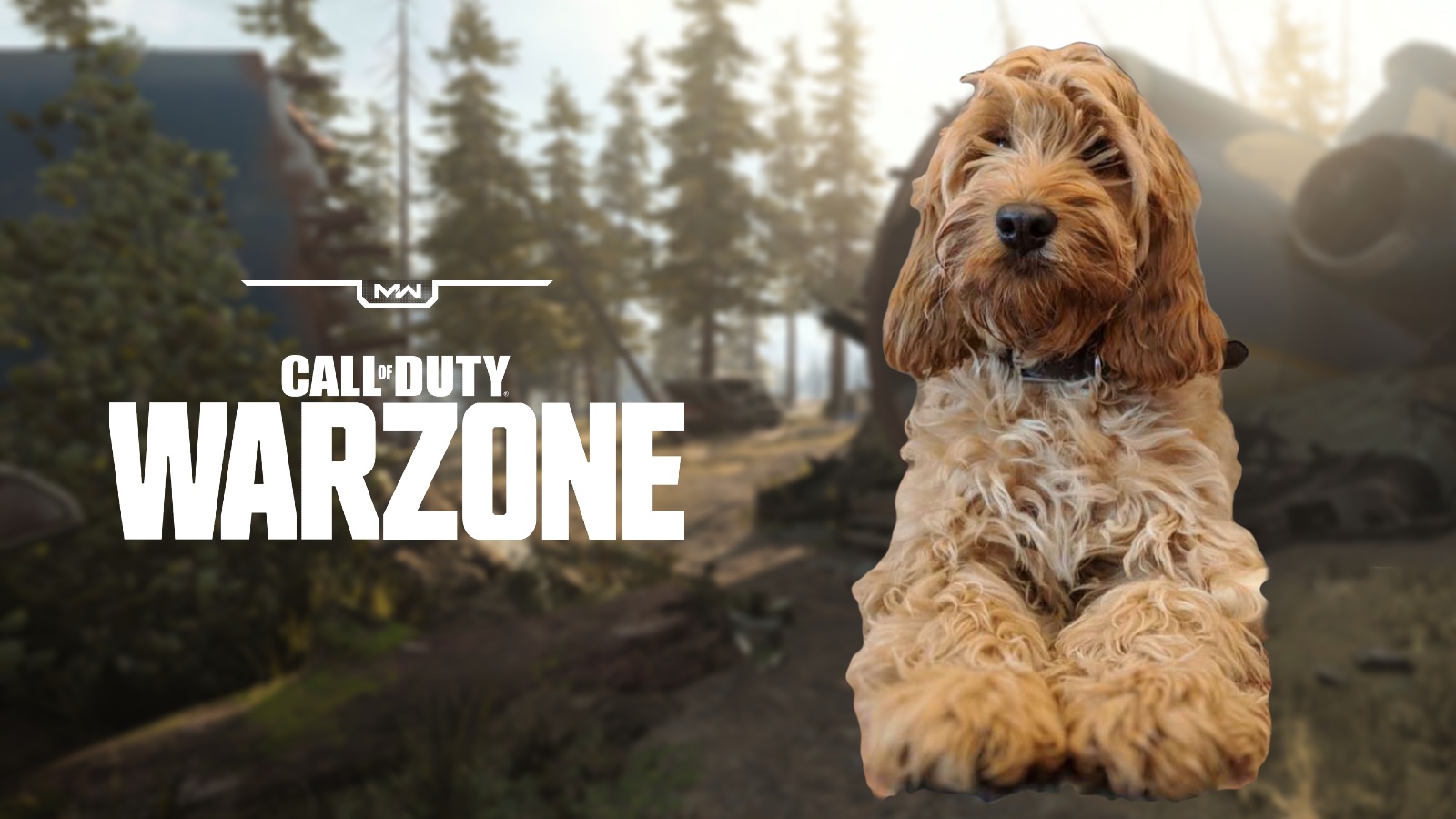 YouTuber teaches dog to ‘play’ Warzone and even gets kills (sort of