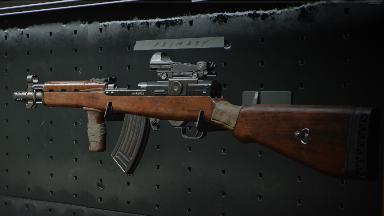 Type 63 Black Ops Cold War DMR