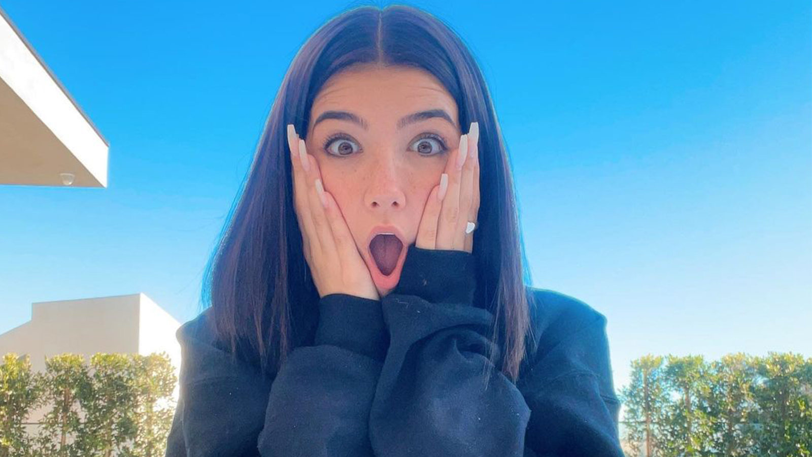 Charli D Amelio Thought A Hashtag Dedicated To Charli Xcx Was About Her Dexerto