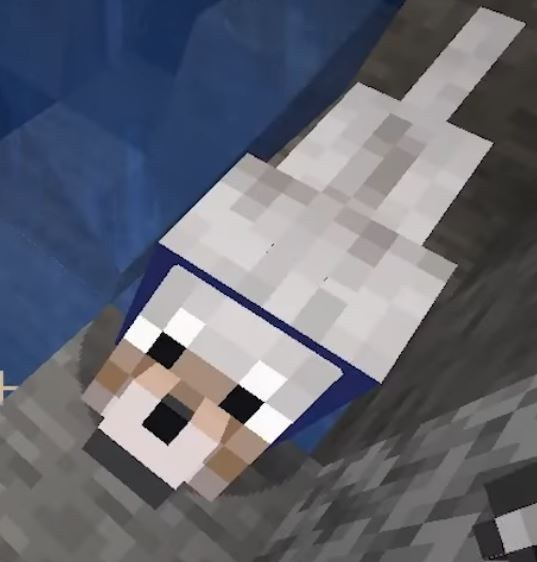 The Swede's beloved Minecraft dog Sven is a staple to the series. Mojang / Microsoft