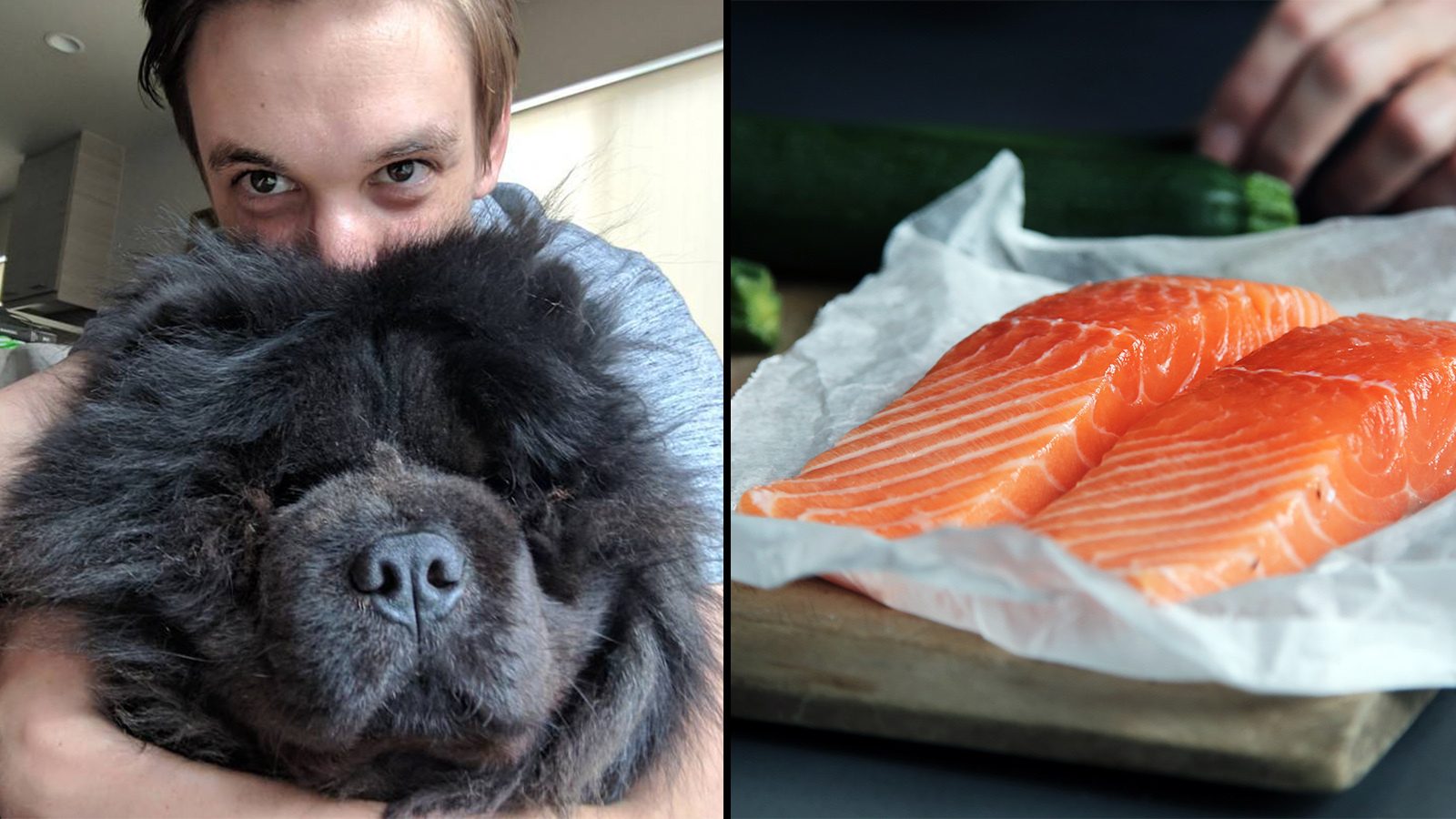 dog raw salmon