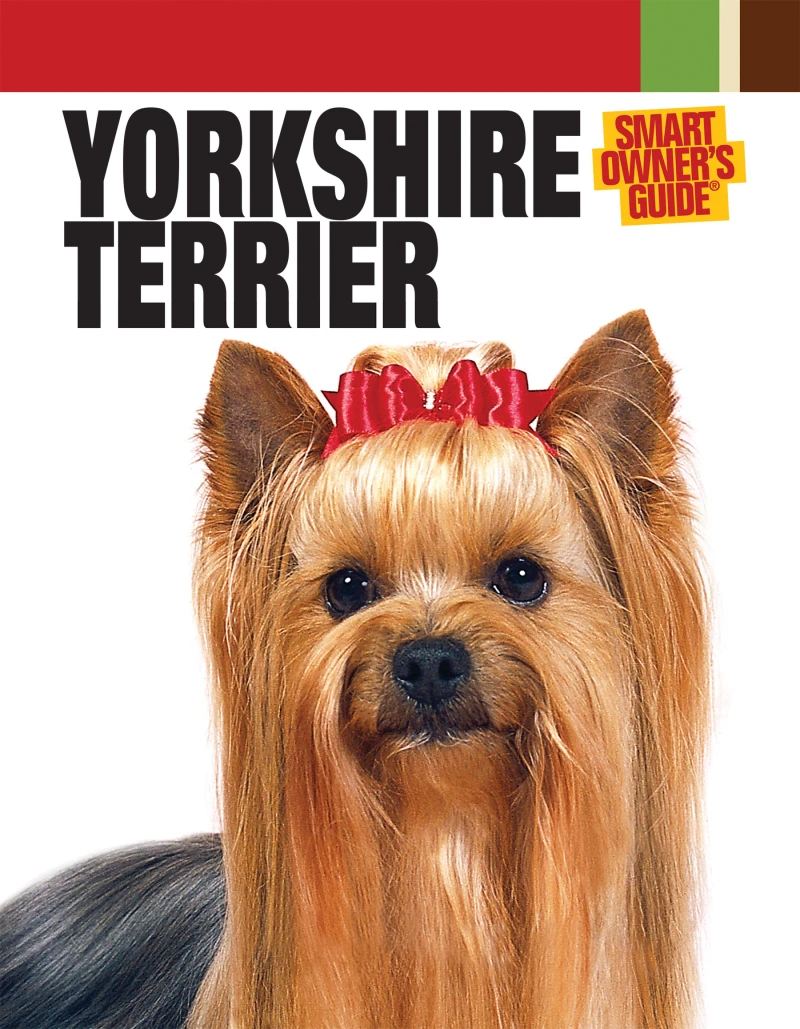 Portada: Yorkshire Terrier