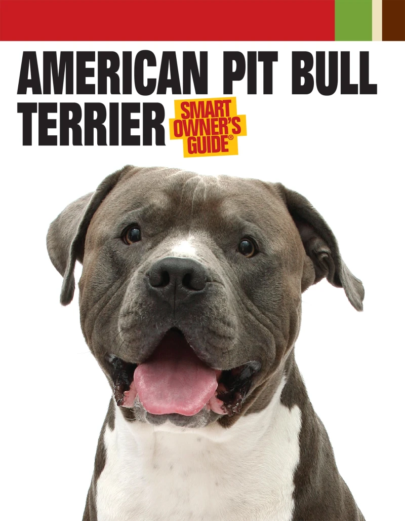 Portada: American Pit Bull Terrier