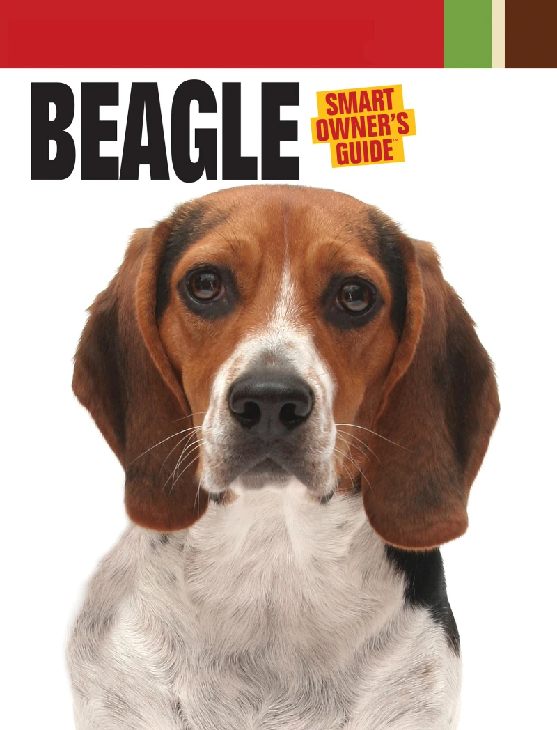 Portada: Beagle