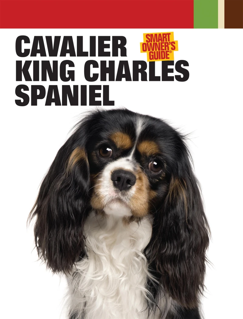 Portada: Cavalier King Charles Spaniel