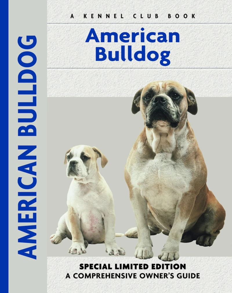 Portada: American Bulldog