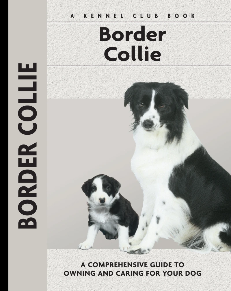 Portada: Border Collie