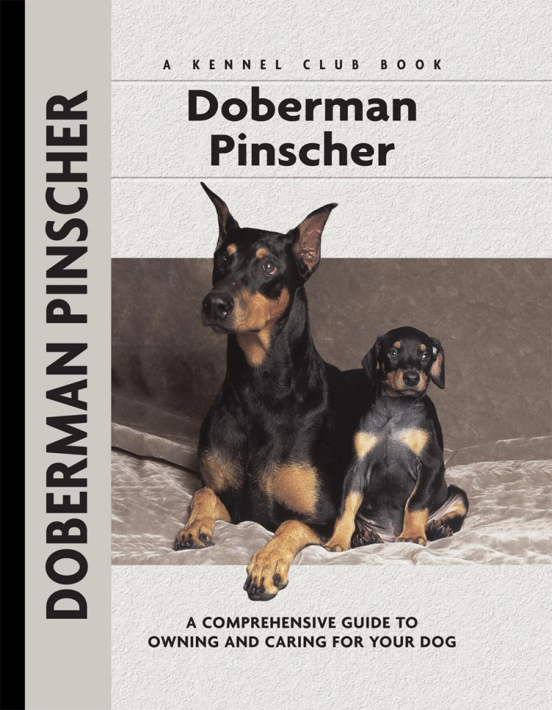 Portada: Doberman Pinscher
