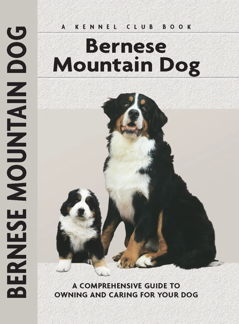 Portada: Bernese Mountain Dog