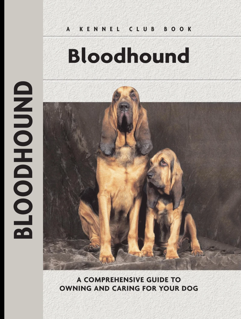 Portada: Bloodhound