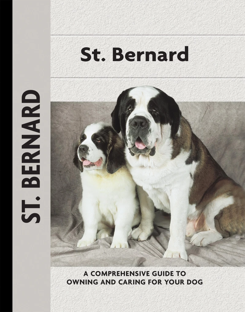 Portada: St. Bernard