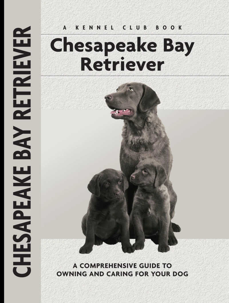 Portada: Chesapeake Bay Retriever