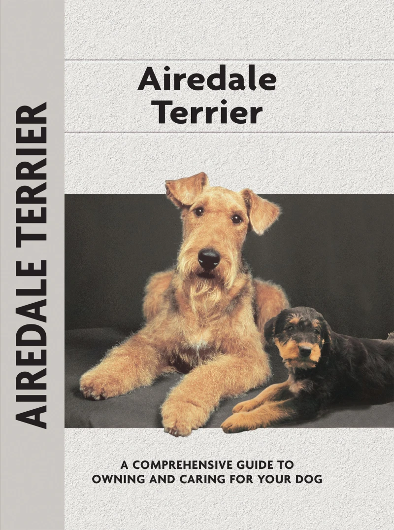 Portada: Airedale Terrier