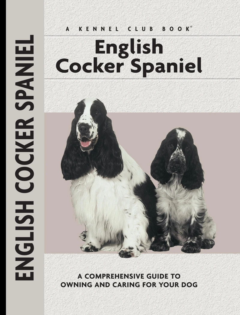 Portada: English Cocker Spaniel