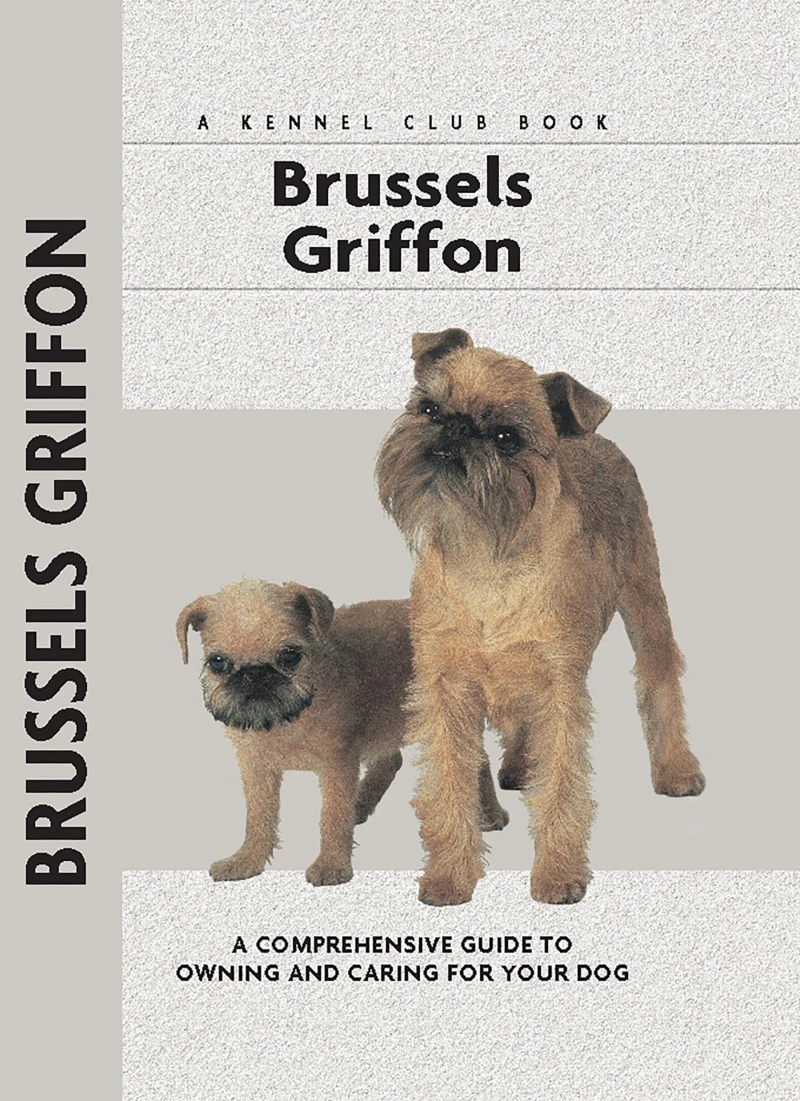 Portada: Brussels Griffon