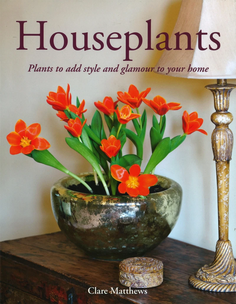 Portada: Houseplants