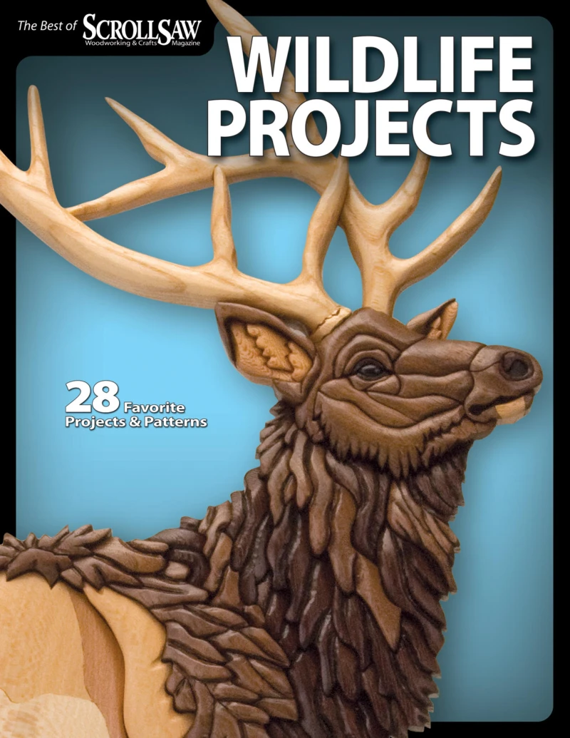 Portada: Wildlife Projects