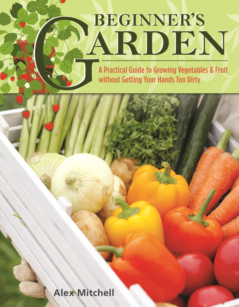 Portada: Beginner's Garden