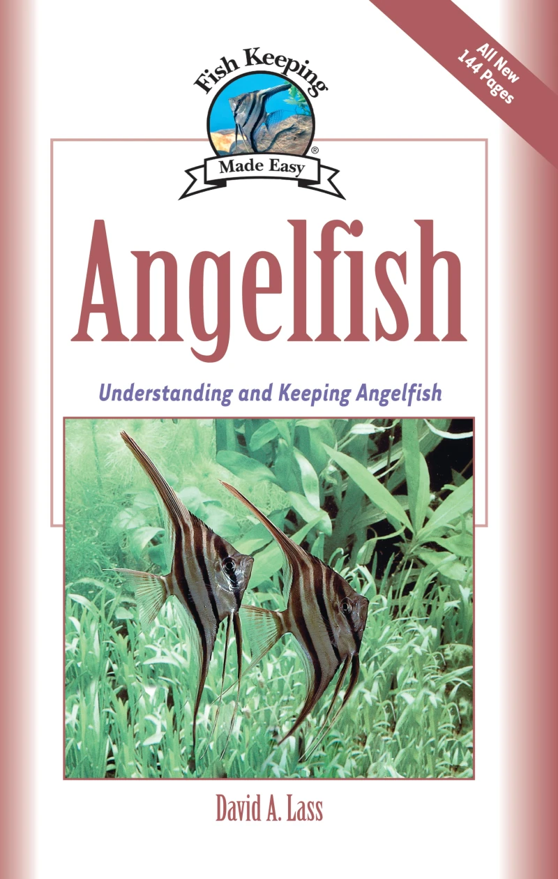 Portada: Angelfish