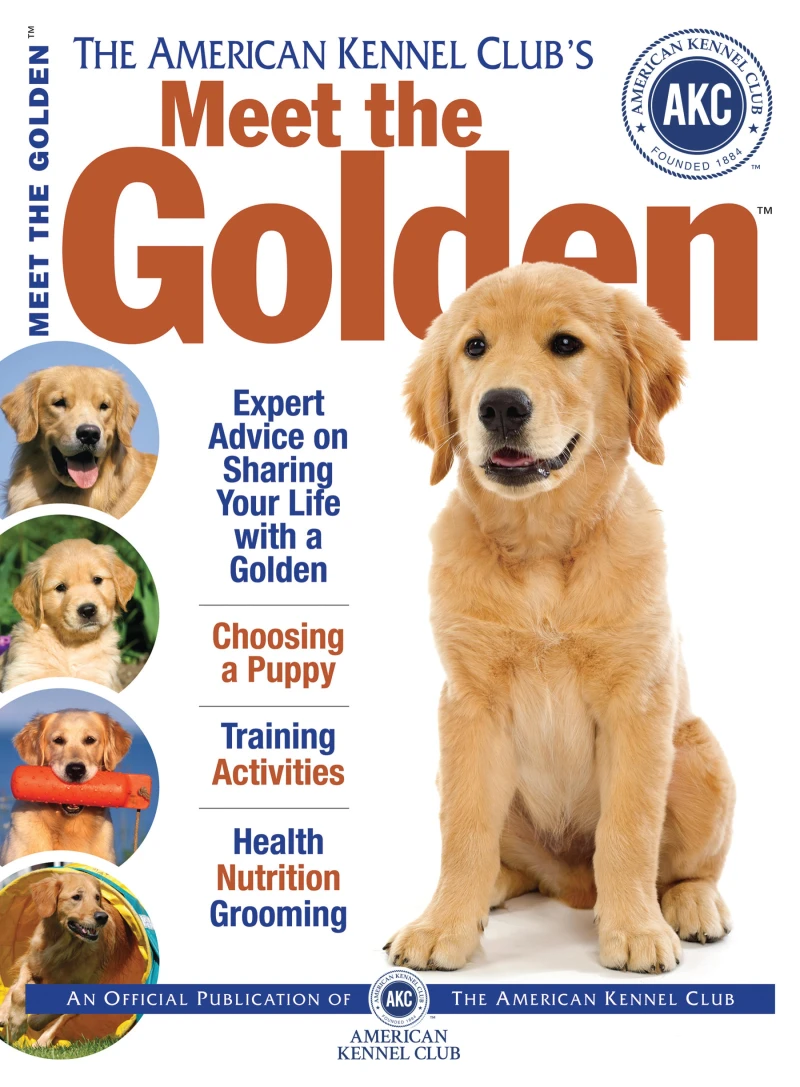 Portada: Meet the Golden