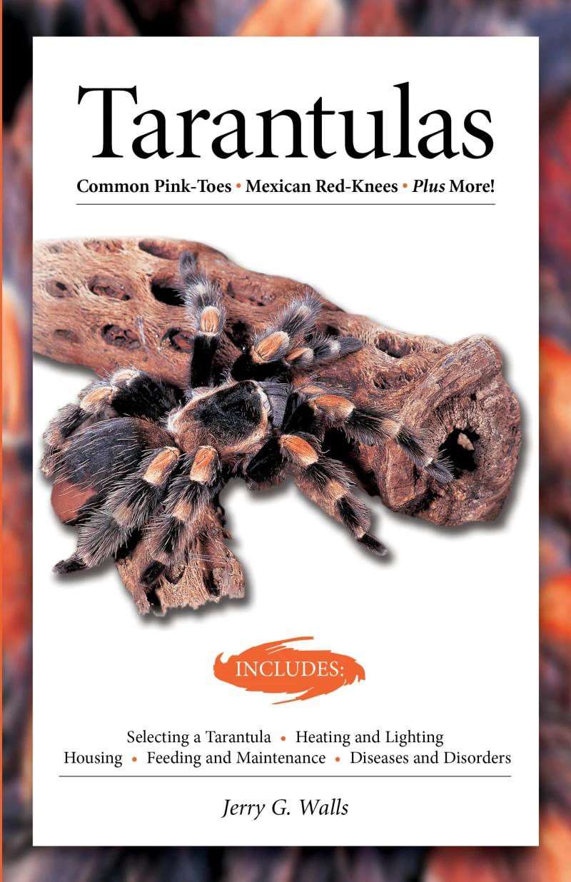 Portada: Tarantulas (Advanced Vivarium Systems)