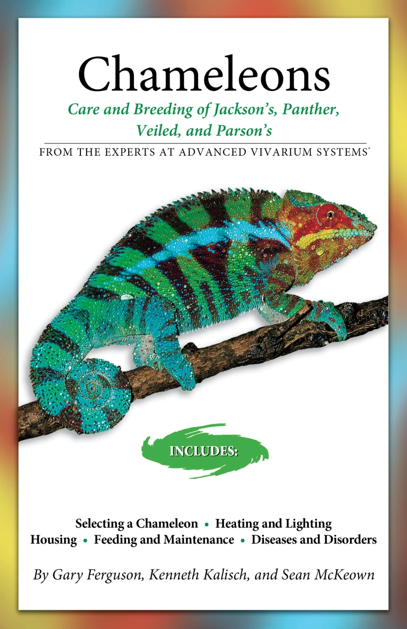 Portada: Essential Care of Chameleons