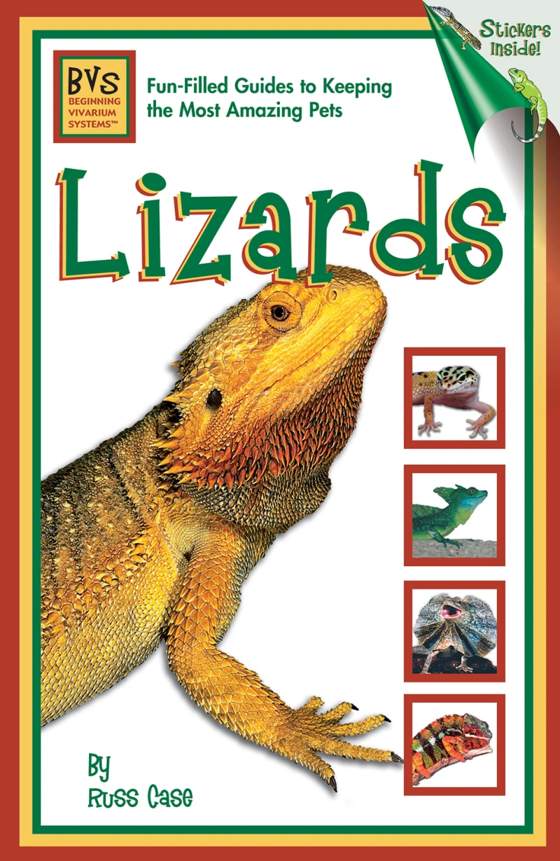 Portada: Lizards