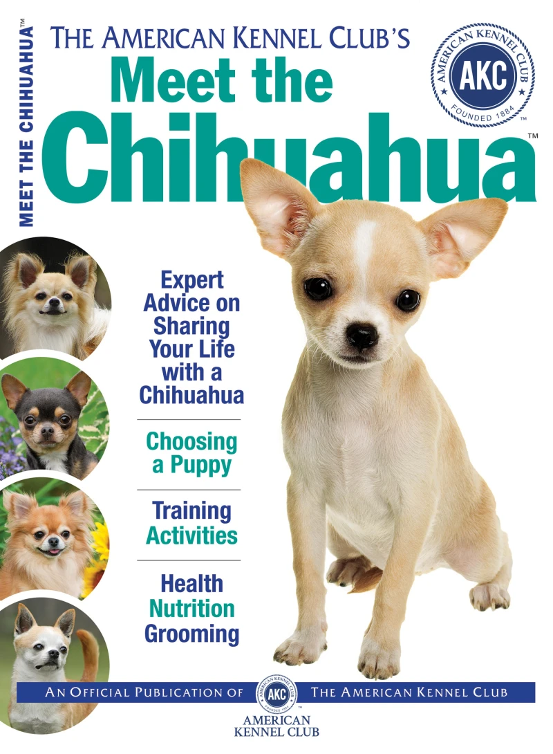 Portada: Meet the Chihuahua