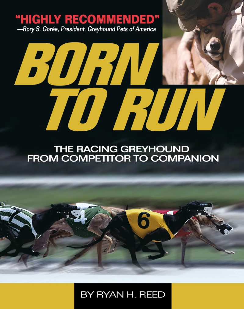 Portada: The Born to Run