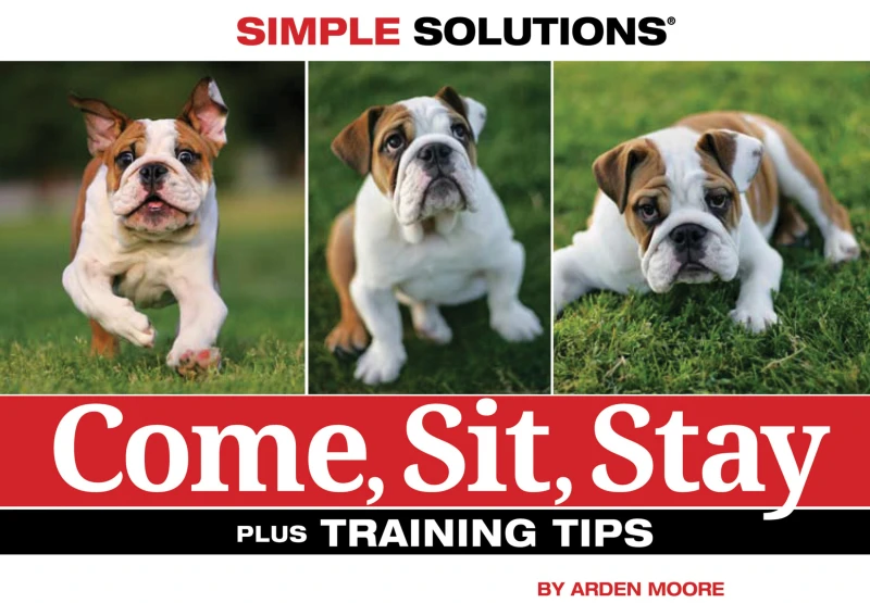 Portada: Come, Sit, Stay