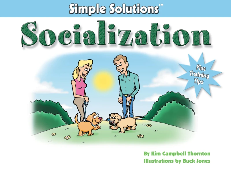 Portada: Socialization