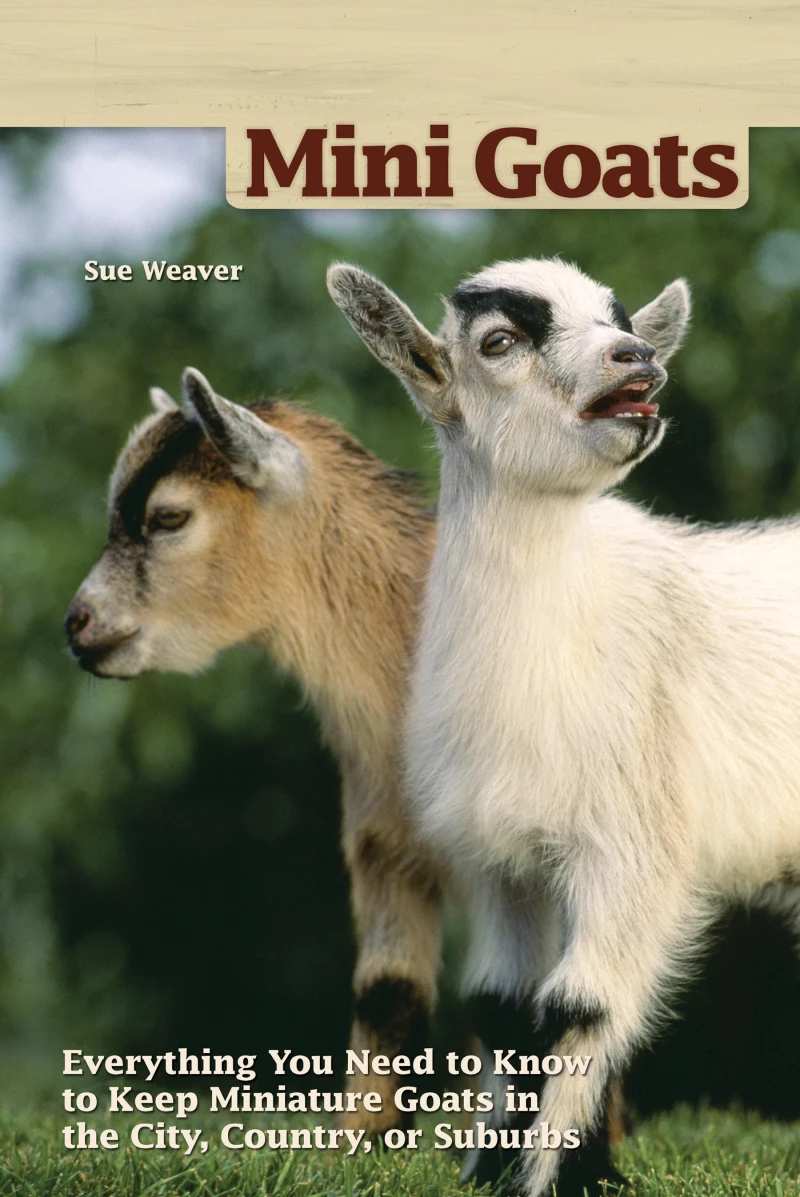 Portada: Mini Goats