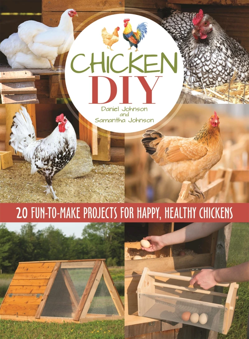 Portada: Chicken DIY