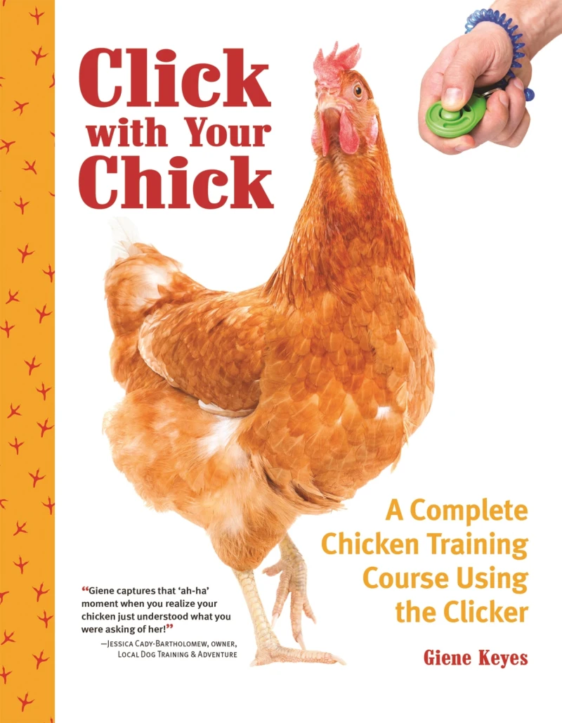 Portada: Click with Your Chick