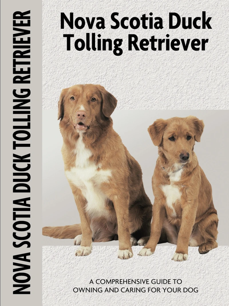 Portada: Nova Scotia Duck Tolling Retriever (Comprehensive Owner's Guide)