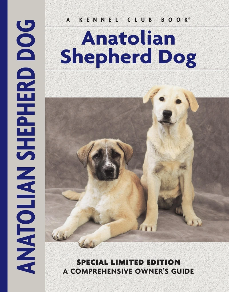 Portada: Anatolian Shepherd Dog