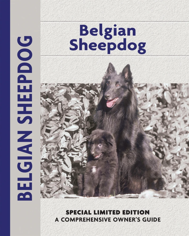 Portada: Belgian Sheepdog
