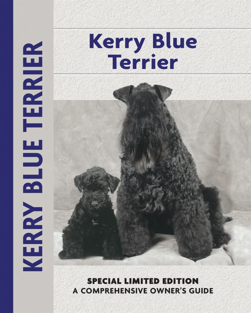 Portada: Kerry Blue Terrier