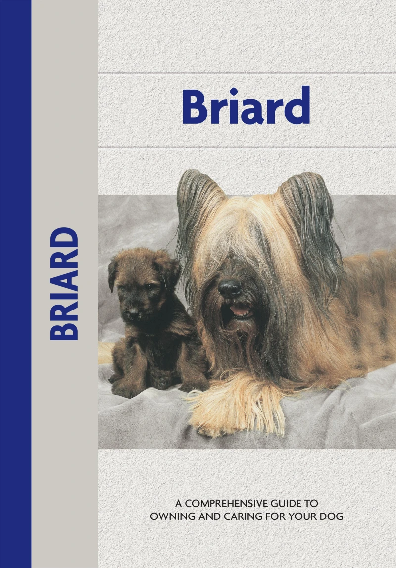 Portada: Briard