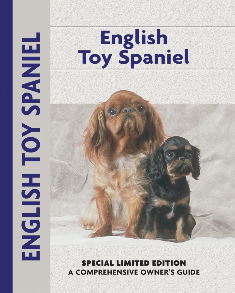 Portada: English Toy Spaniel