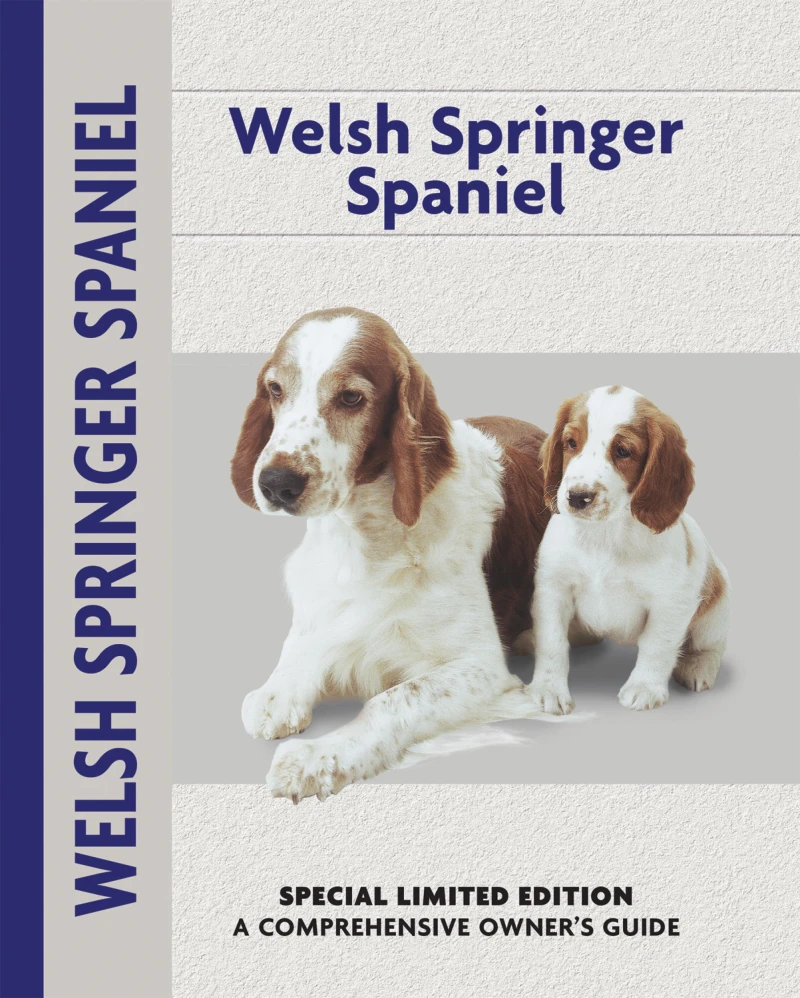 Portada: Welsh Springer Spaniel