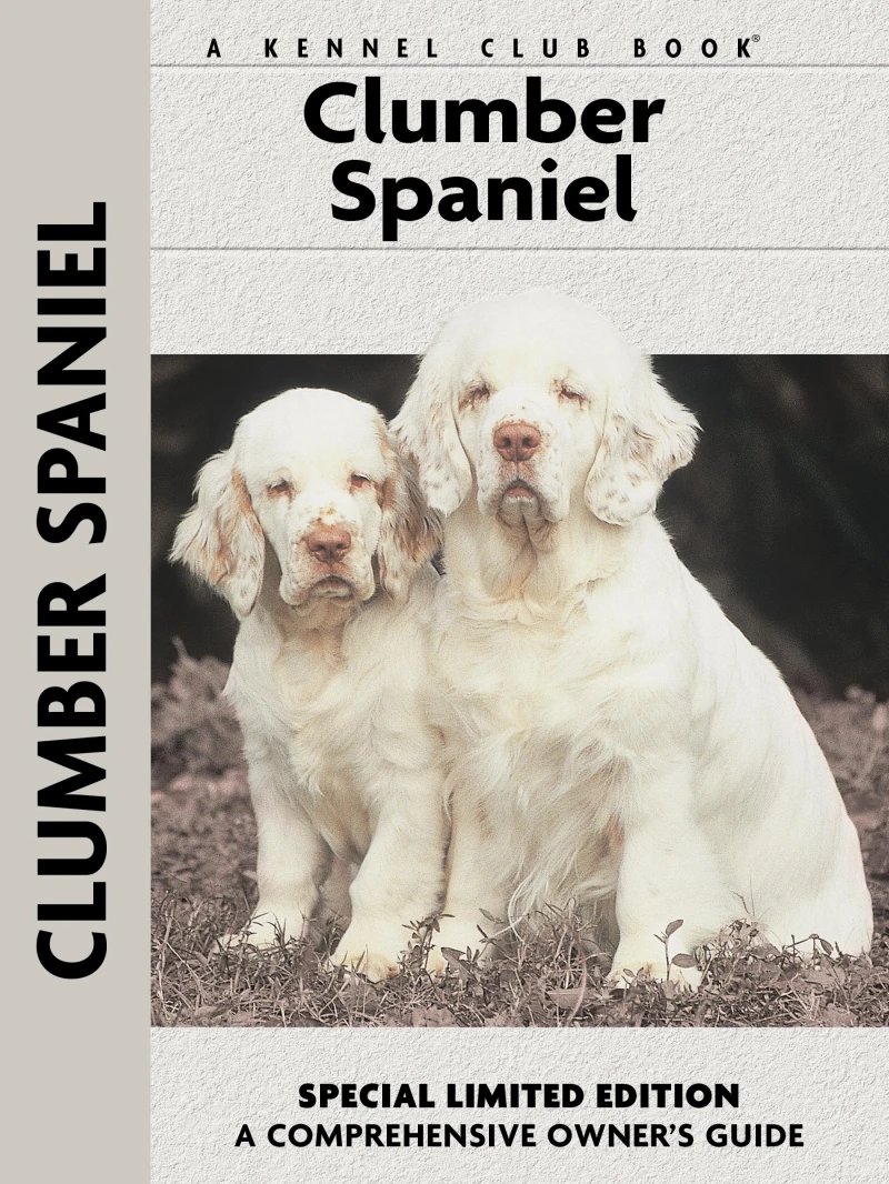 Portada: Clumber Spaniel