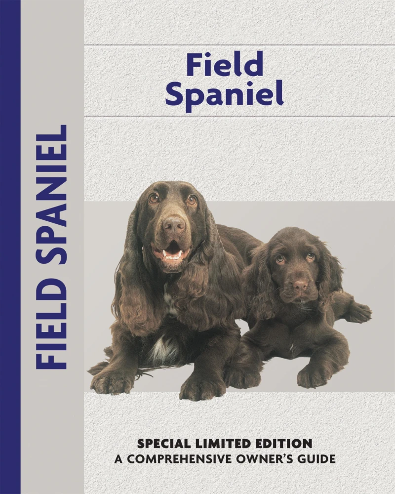 Portada: Field Spaniel