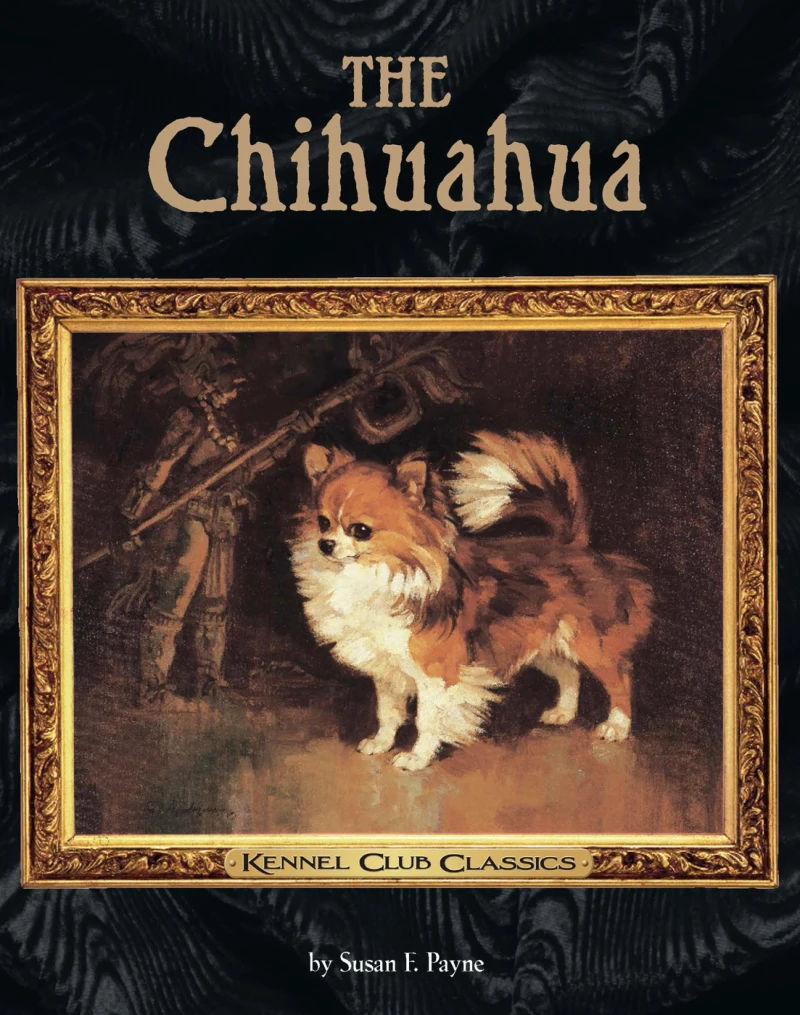 Portada: The Chihuahua