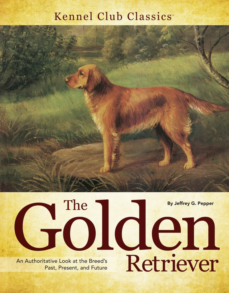 Portada: Golden Retriever