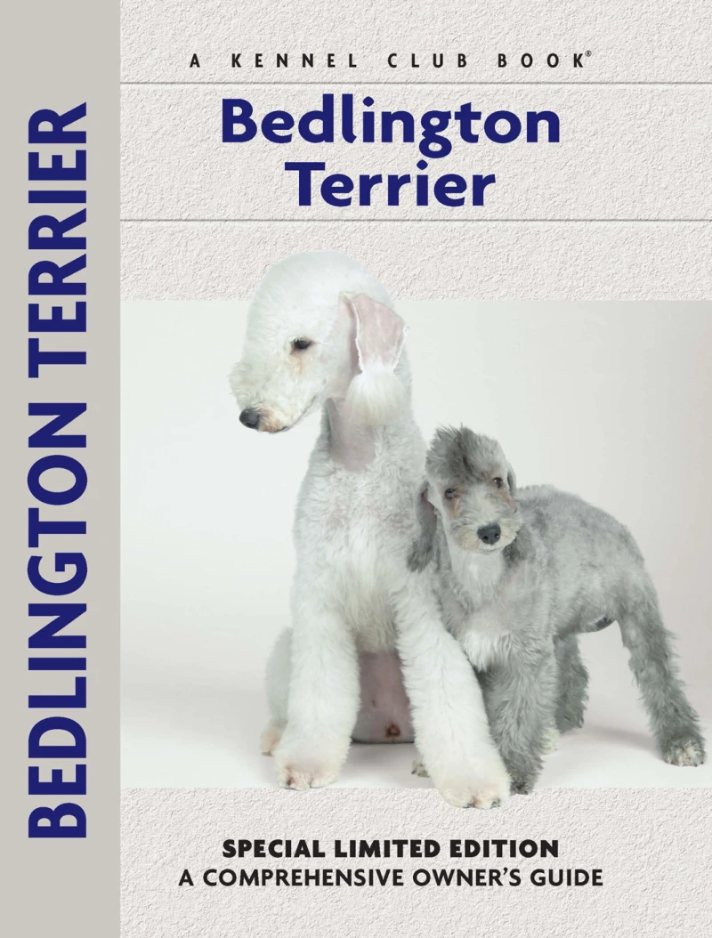 Portada: Bedlington Terrier