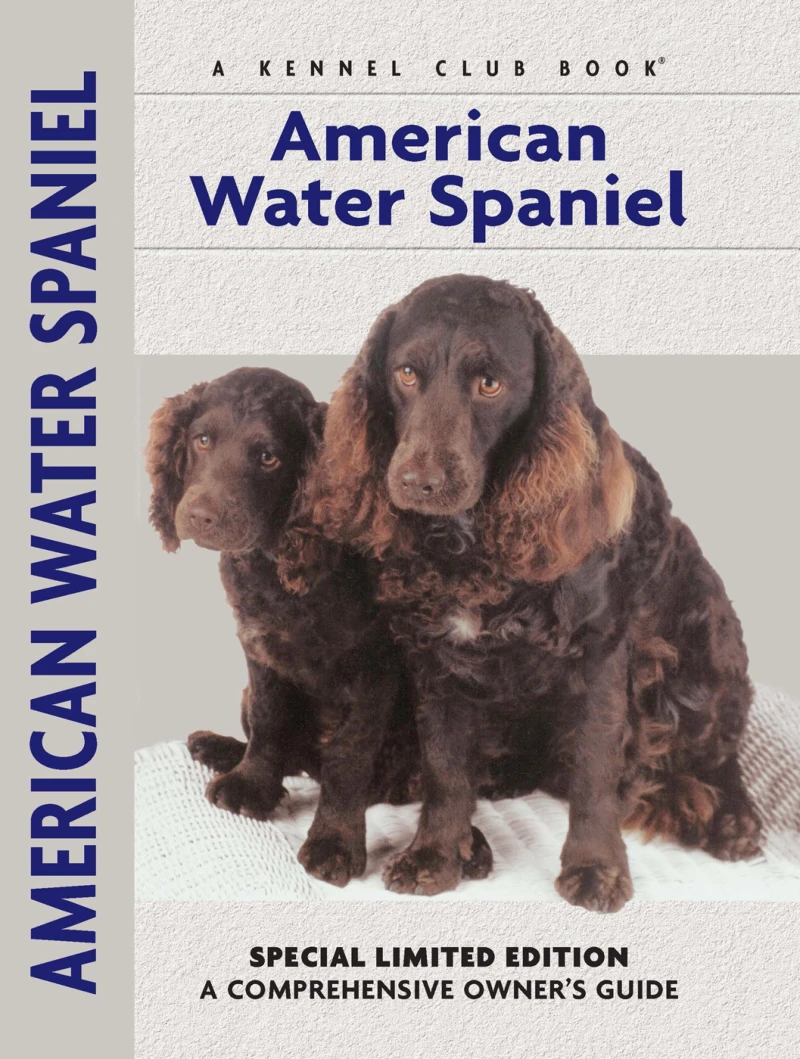 Portada: American Water Spaniel